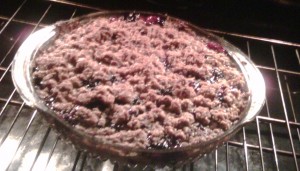 blueberry rhubarb crisp recipe