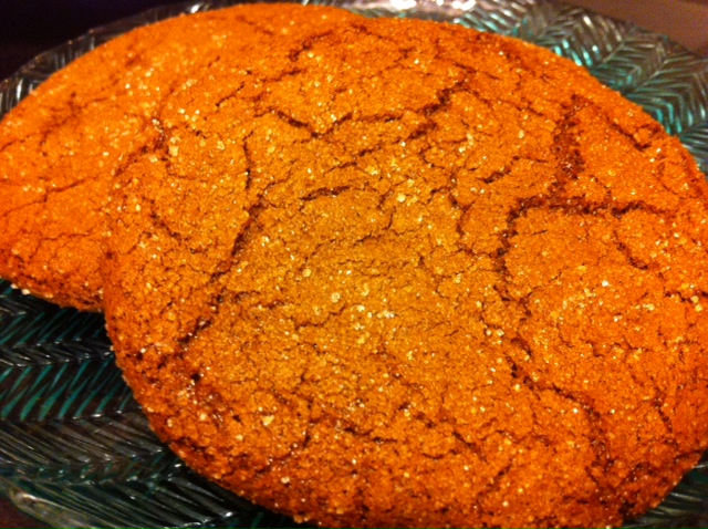 Gluten Free Dairy Free Ginger Cookies Sylvia s Kitchen Sync